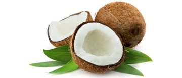 Dabiskā kokosriekstu eļļa – no dzīvības koka